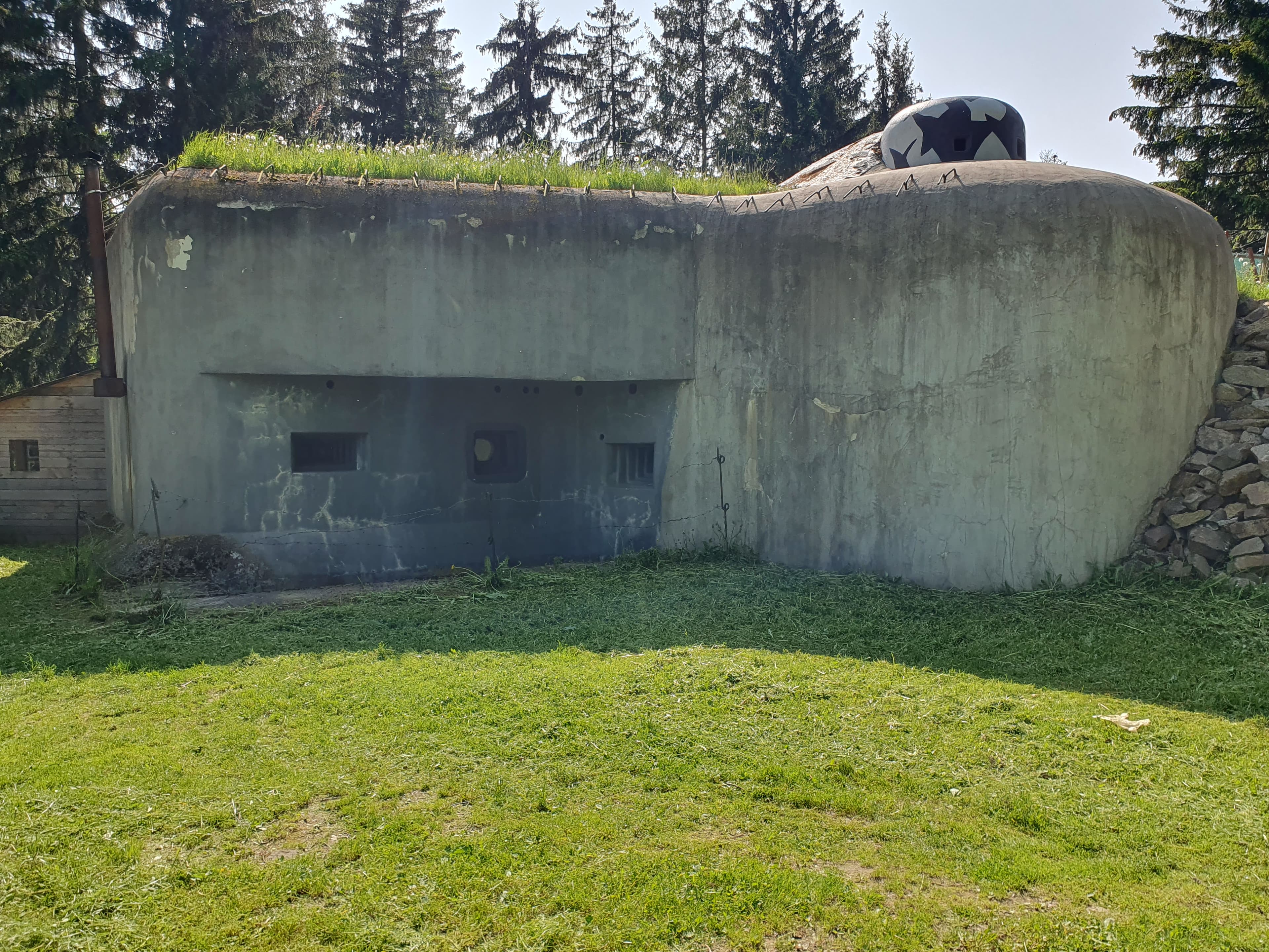 20230527_154942.jpg