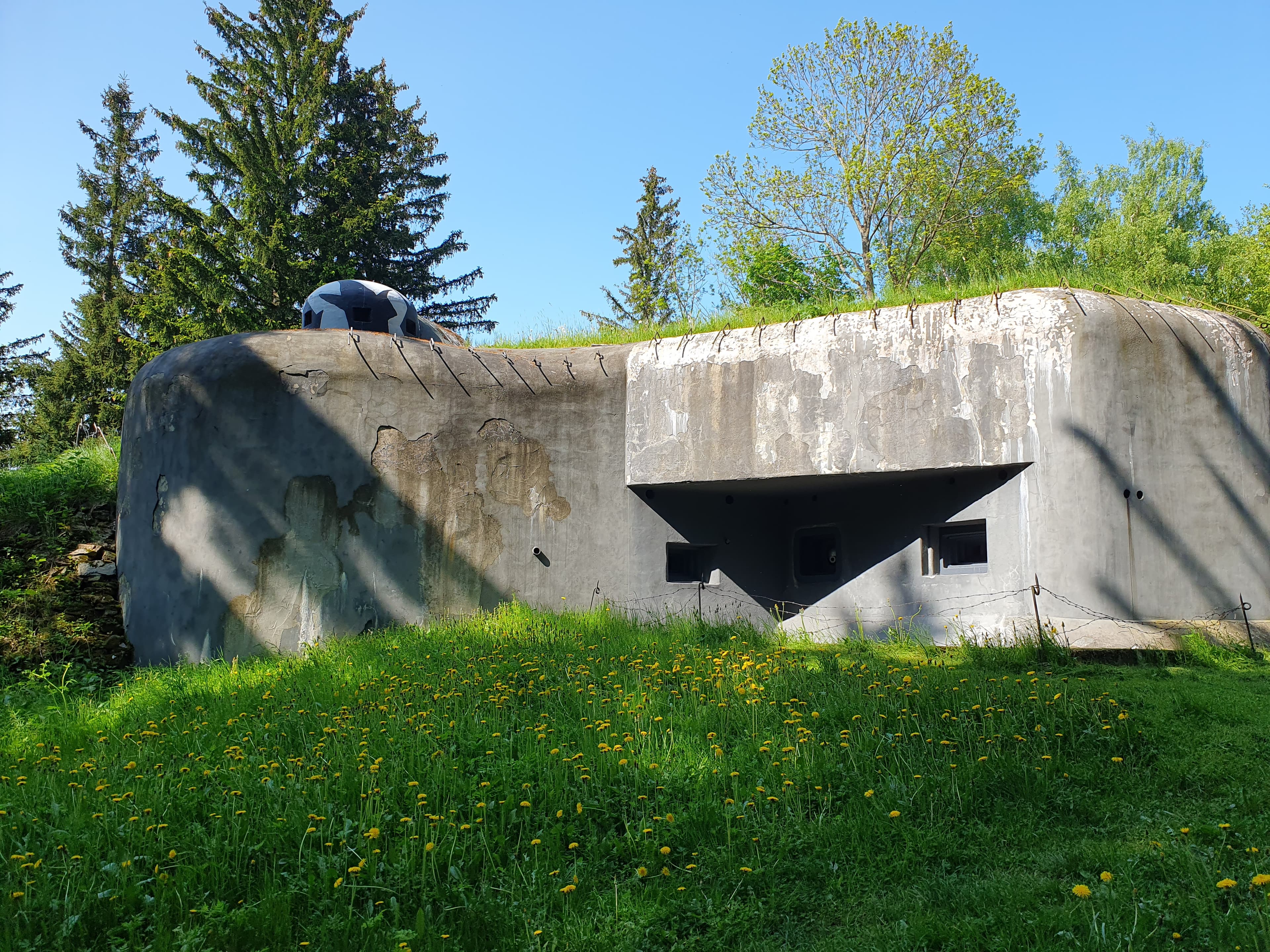 20230527_155118.jpg